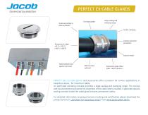 Jacob at a glance-12