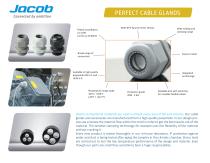 Jacob at a glance-4