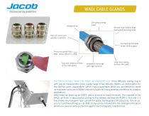 Jacob at a glance-6