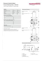 Pressure Reducing Valves DM 462V - 2