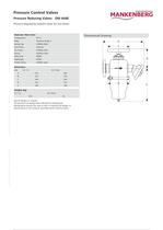 Pressure Reducing Valves DM 668E - 2