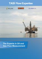 The Experts in Oil and Gas Flow Measurement - 1