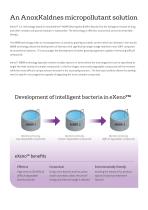 Biological treatment of micropollutants with eXeno™ - 3