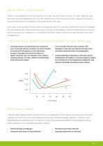 Precision - N2, H2 and air for GC carrier and detctor gas Brochure-5