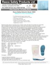 Electrical Safety Boots-1