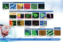 NanoRaman-5