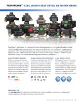 Valvetop D-ESD Brochure - 11