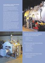 MX Steam Boiler-2