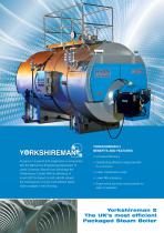 Yerkshireman packaged steam boilers-4