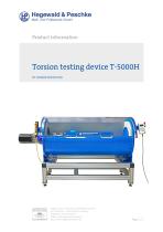 Torsion test machine - 1