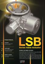 LSB - 1