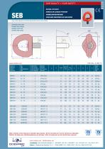 Swivel Eye Bolt: SEB - 1