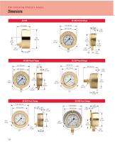 300 Series Brass Case Liquid Filled Pressure Gauges-3