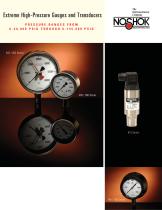 Extreme High Pressure Gauges & Transducers NK06EHP-1