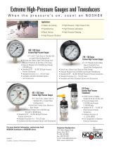 Extreme High Pressure Gauges & Transducers NK06EHP-2
