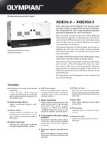 XQE20-XQE250 Rental Generator-1