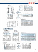 SSR Series Japan-tech WasteWater Treatment Roots Blower - 29