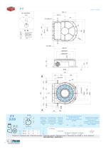 FT Ring table-12