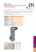 Residual Current Breaker with Overcurrent Protection - 1