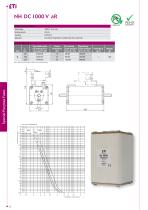 Special Purpose Fuses - 10