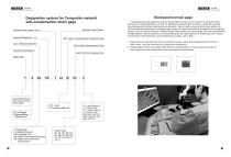 General strain gage-11