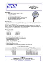 INTELLIGENT PRESSURE GAUGE BPZ2002-1
