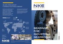 BEARINGS  FOR INDUSTRIAL GEARBOXES - 1