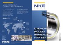 CYLINDRICAL ROLLER BEARINGS: NNF SERIES - 1