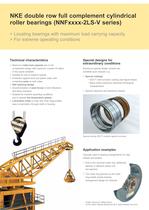 NKE double row full complement cylindrical roller bearings - 2