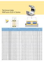 NKE double row full complement cylindrical roller bearings - 3