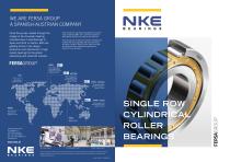 SINGLE ROW CYLINDRICAL ROLLER BEARINGS - 1