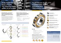 SINGLE ROW CYLINDRICAL ROLLER BEARINGS - 2