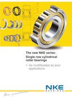 Single row cylindrical roller bearings - 1