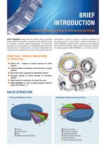 KINEX BEARINGS Company Profile - 2