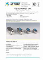 Forged Staineless Steel Rack and Pinion Actuator-1