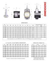 SERIES 39L  Long Body Slurry Control Valve-4
