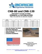 CNB-80 and CNB-120 - 1