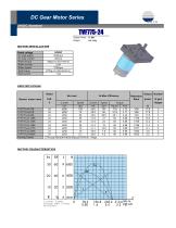 Parallel Shaft Gearmotor - 19