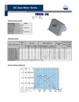 Parallel Shaft Gearmotor - 24