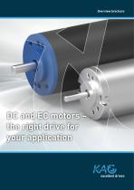 Overview: DC and EC Drives-1