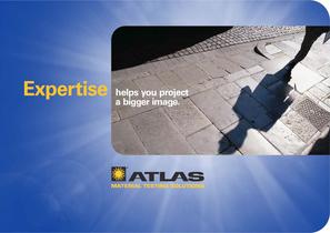 Consulting Brochure-1