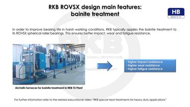 RKB ROVSX for Vibrating Machinery - 10