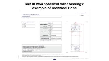 RKB ROVSX for Vibrating Machinery - 13