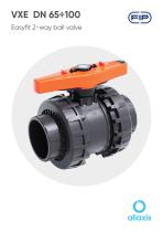 VXE  DN 65÷100-1