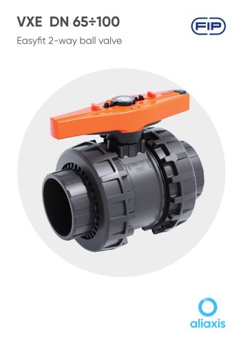VXE  DN 65÷100