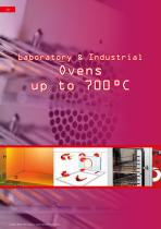 Laboratory & Industrial Ovens & Furnaces-10