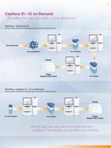 Capillary Ion Chromatography Global Food and Beverage Testing Solutions - 7