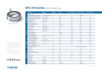 QTL 310 Torque motors