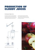 Fruit Juice - 10