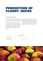 Fruit Juice - 12